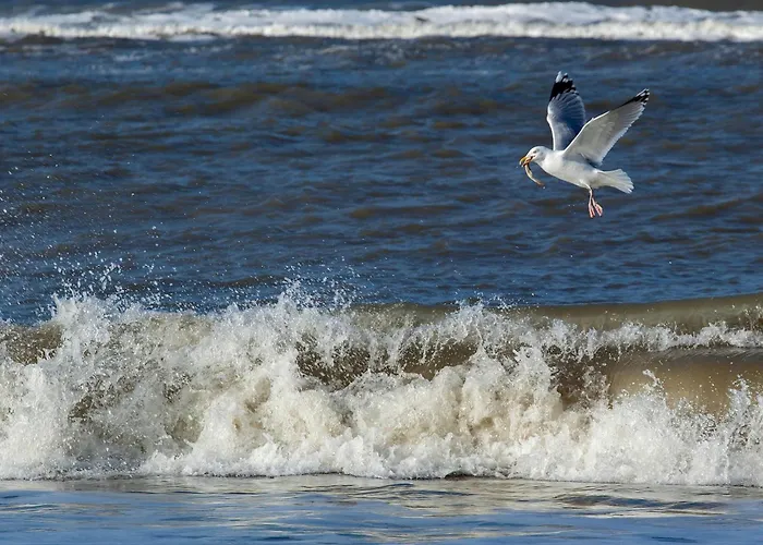 Apartman Appartementhaus Bracht - Kleine Brise *